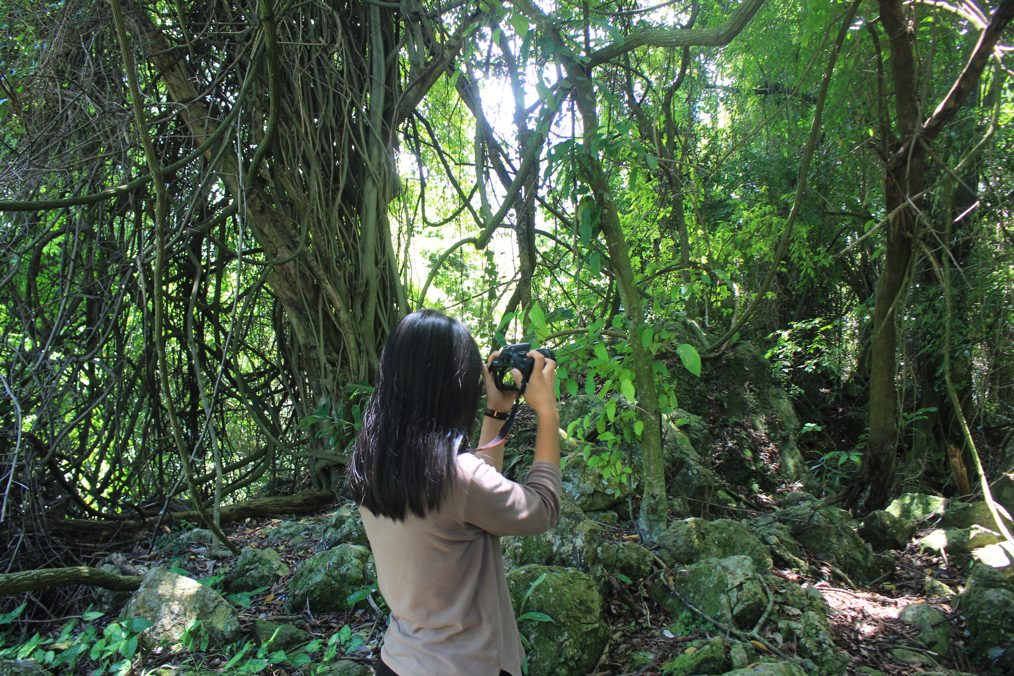 Gambar